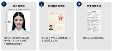 哈尔滨医保补交指南，一步步教你如何操作