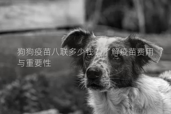 狗狗8联疫苗价格大揭秘，了解费用，为爱宠健康保驾护航