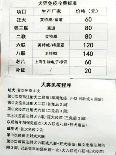 狗狗8联疫苗价格大揭秘，了解费用，为爱宠健康保驾护航