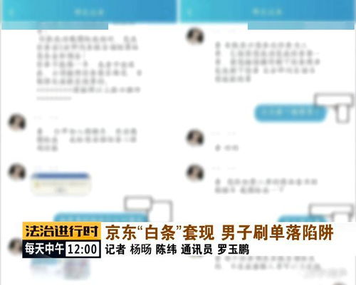 京东白条如何套取商家资金，技巧与案例分析