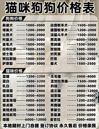 狗狗价格大揭秘，不同品种、年龄、地区价格一览表