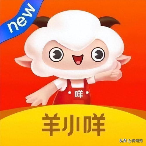 羊小咩便荔卡提现怎么提不出来了 羊小咩便荔卡提现难题揭秘，为什么提现不了？