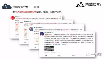 花呗提现一半，揭秘背后的秘密与案例解析