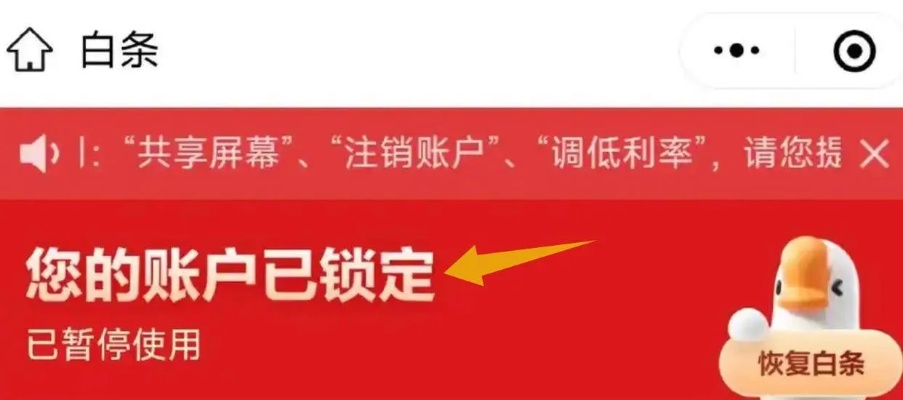 京东白条长沙套出来 白条长沙套出来攻略,如何安全高效地将资金转移到个人账户 京东白条长沙套出来 白条长沙套出来攻略,如何安全高效地将资金转移到个人账户