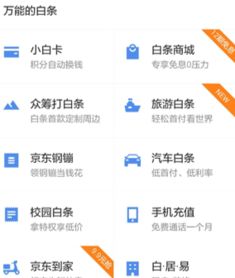 金融白条取现体验报告 金融白条取现体验报告
