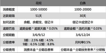 东京白条用什么套出来 东京白条套出指南,如何巧妙运用东京金融工具 东京白条用什么套出来 东京白条套出指南,如何巧妙运用东京金融工具