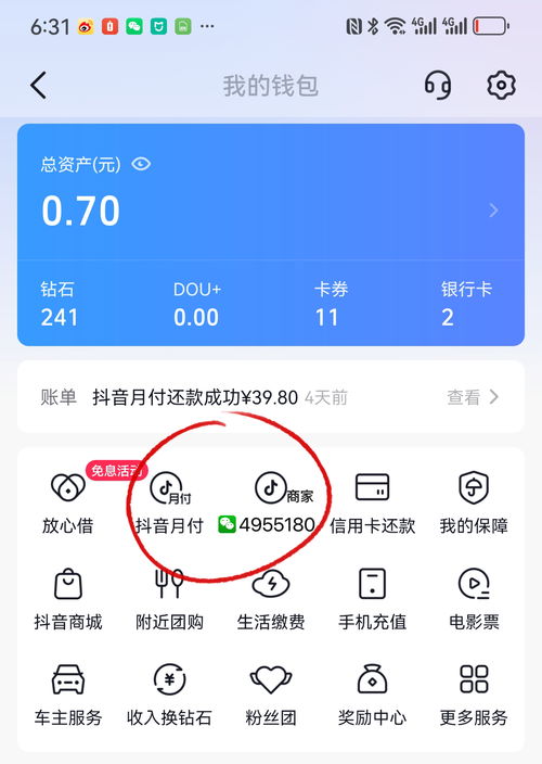 抖音月付提现抱歉怎么回事 抖音月付提现抱歉怎么回事—案例分析与说明 抖音月付提现抱歉怎么回事 抖音月付提现抱歉怎么回事—案例分析与说明