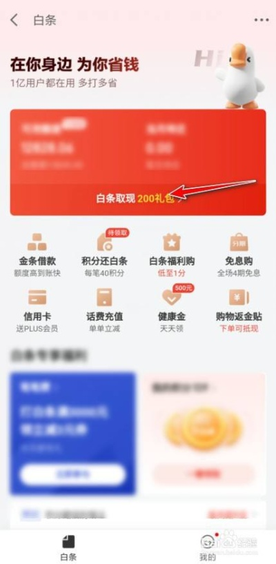 京东白条能提现农业银行吗 京东白条与农业银行提现问题探讨