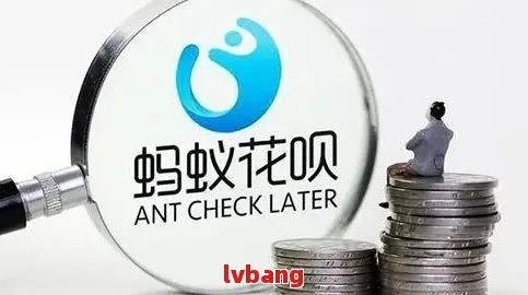 揭秘花呗提现嗨贝嗨车平台,风险与真相 揭秘花呗提现嗨贝嗨车平台,风险与真相