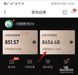互联网白条提现攻略