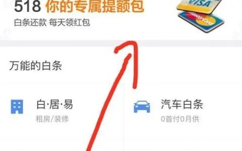京东白条消费额度提现攻略，如何轻松获取最大额度