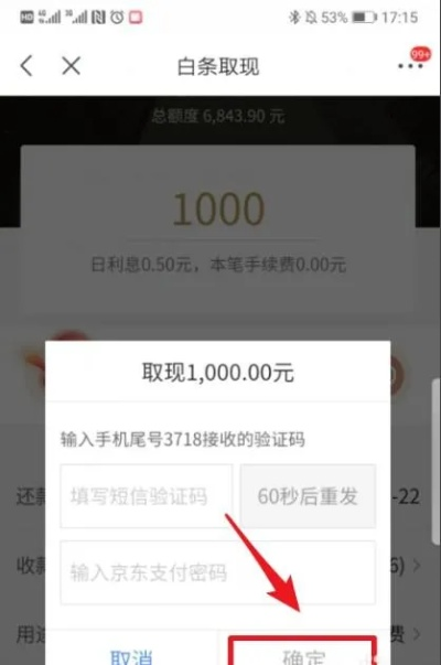代付京东白条提现 代付京东白条提现攻略