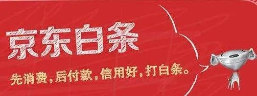 京东白条钱套取风险与策略探讨 京东白条钱套取风险与策略探讨