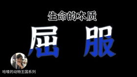 五道口分期乐取现 五道口分期乐取现，轻松解燃眉之急？这份避坑指南必须看！
