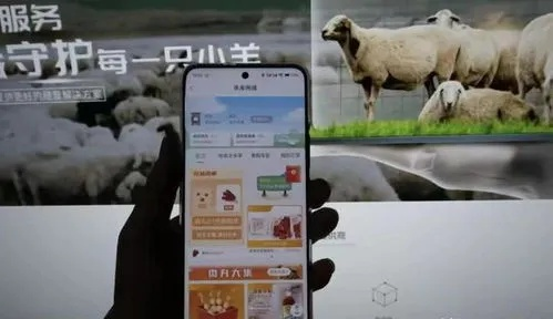 绵阳哪里可以羊小咩便荔卡提现 绵阳哪里可以羊小咩便荔卡提现？