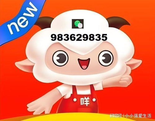 羊小咩享花卡红牛能提现吗 羊小咩享花卡和红牛卡能提现吗?一篇说透所有注意事项的避坑指南 羊小咩享花卡红牛能提现吗 羊小咩享花卡和红牛卡能提现吗?一篇说透所有注意事项的避坑指南