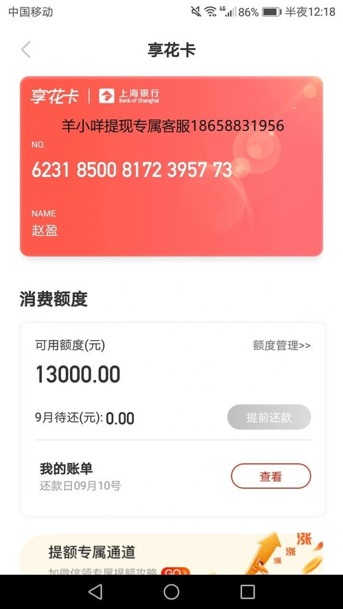 羊小咩享花卡超市卡套出来怎么办理 手把手教你办理羊小咩享花卡超市卡套，从申请到激活全流程拆解