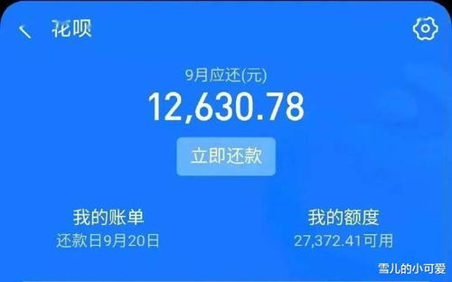 花呗钱能否提现？案例分析与指南