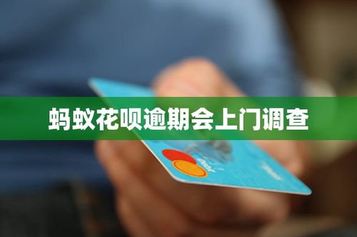 花呗如取现，一触即达的便捷金融体验