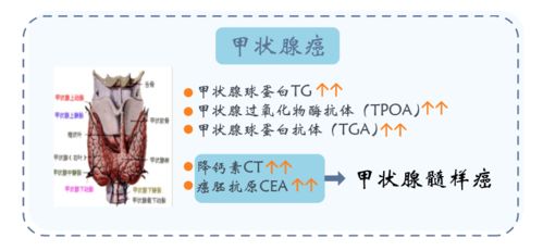 羊小咩便荔卡取现合法吗 羊小咩便荔卡取现合法吗？一文说清规则、风险与避坑指南