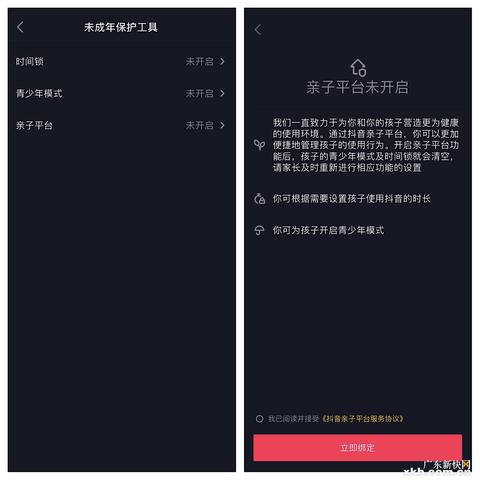 抖音月付钱提现钱包 抖音月付钱提现钱包详解，操作指南与注意事项