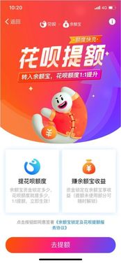 快团团怎样套出来花呗 快团团怎样套出来花呗？实用攻略与案例分享