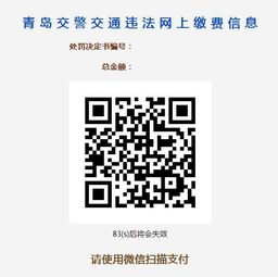 分期乐平台套现指南，揭秘非法套现渠道与平台选择