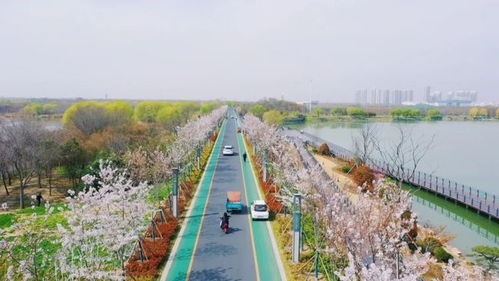 济宁邹城白条提现攻略 济宁邹城白条提现攻略