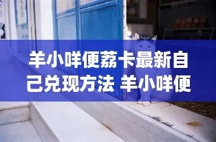 羊小咩便荔卡取现全攻略,手把手教你轻松提现,附避坑指南和真实案例 羊小咩便荔卡取现全攻略,手把手教你轻松提现,附避坑指南和真实案例