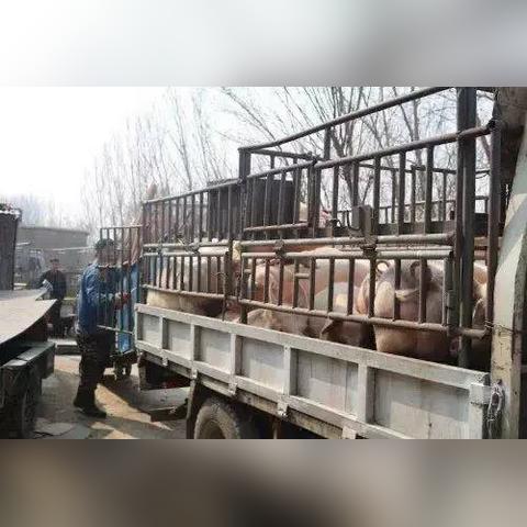 得物佳物分期额度兑现，清零后如何清零得物佳物分期额度？