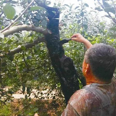 得物佳物分期额度兑现，怎样才能有得物佳物分期额度？