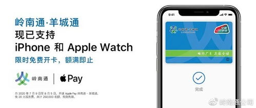苹果羊小咩便荔卡分期提现指南 苹果羊小咩便荔卡分期提现指南