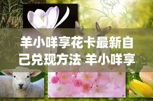 手把手教你玩转羊小咩享花卡兑现行情，从入门到精通全攻略