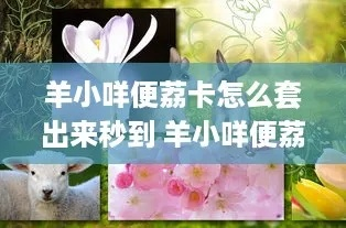 揭秘羊小咩便荔卡套零门槛招代理攻略，小白月入过万的实战指南
