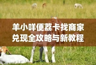 揭秘羊小咩便荔卡套零门槛招代理攻略，小白月入过万的实战指南