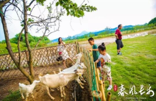 烟台探秘,跟着羊咩咩打卡套出快乐!享花卡如何玩转山海与牧歌? 烟台探秘,跟着羊咩咩打卡套出快乐!享花卡如何玩转山海与牧歌?