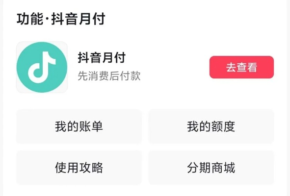 抖音月付,点亮消费新潮流 抖音月付,点亮消费新潮流