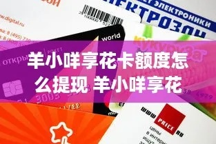 羊小咩便利卡提现全攻略手把手教你快速提现,附避坑指南与真实案例! 羊小咩便利卡提现全攻略手把手教你快速提现,附避坑指南与真实案例!