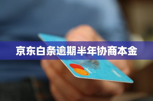 京东白条收款待提现，一触即达的便捷体验