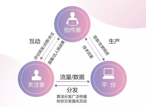 抖音月付取现与信用分，深度解读其背后的逻辑