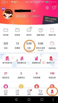 京东白条石家庄提现攻略,轻松操作,快速提现详解 京东白条石家庄提现攻略,轻松操作,快速提现详解