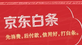 京东白条石家庄提现攻略，一触即达财富梦想