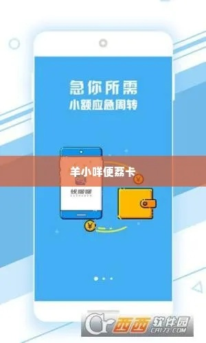 手把手教你羊小咩便荔卡提现全流程（附避坑指南+真实案例）