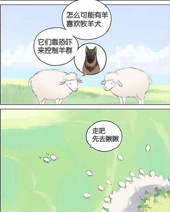 羊小咩享花卡京优福卡避坑攻略,手把手教你薅羊毛不踩雷 羊小咩享花卡京优福卡避坑攻略,手把手教你薅羊毛不踩雷
