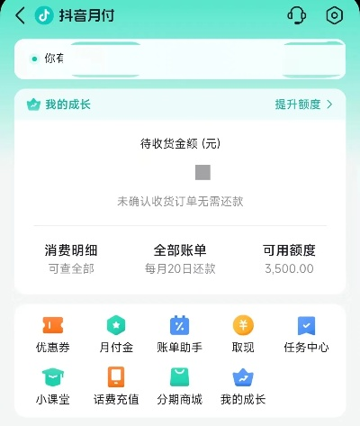 抖音月付的乐花借和提现，功能解析与实用指南