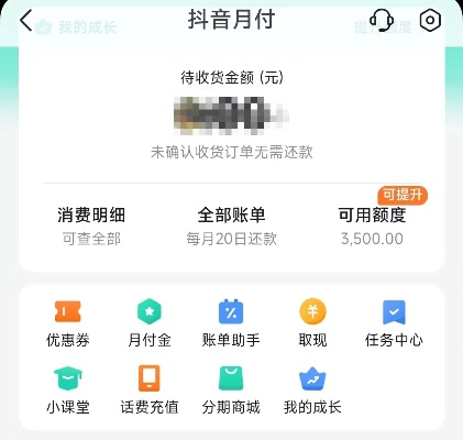 抖音月付分期额度怎么提现,详细解读与案例分享 抖音月付分期额度怎么提现,详细解读与案例分享