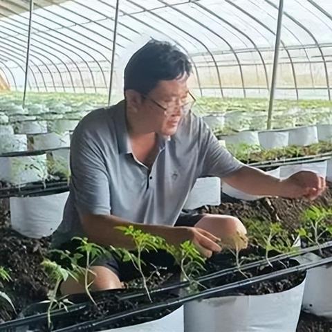 抖音月付套出来正常流程全解析