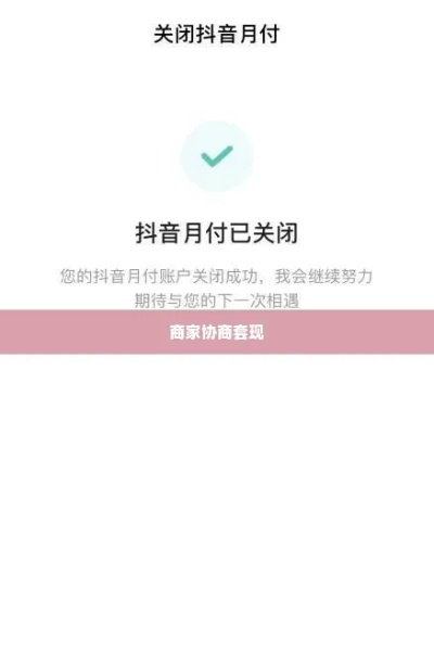 抖音月付套出来秒到平台24全解析