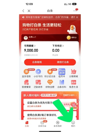 京东白条商家套出案例分析,可靠与否? 京东白条商家套出案例分析,可靠与否?