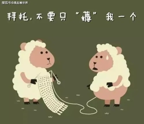手把手教你玩转羊小咩便荔卡,从入门到精通的避坑指南 手把手教你玩转羊小咩便荔卡,从入门到精通的避坑指南
